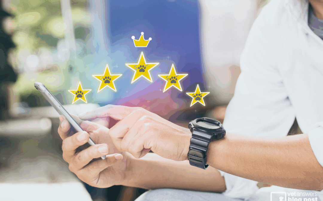 The Ultimate Guide to Managing Veterinary Reviews Online